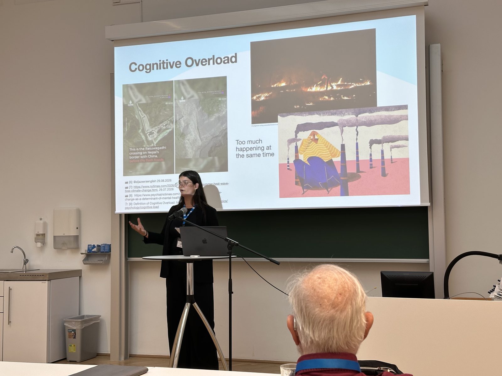 Präsentation zum Thema Cognitive Overload während der IFIP HCC17 2026
